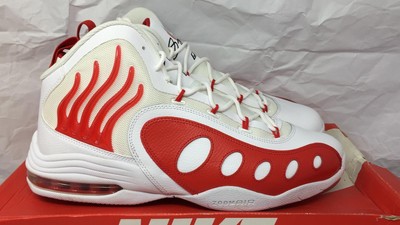 Nike Hyperize Wit